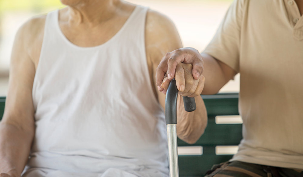 dementia caregiver guide